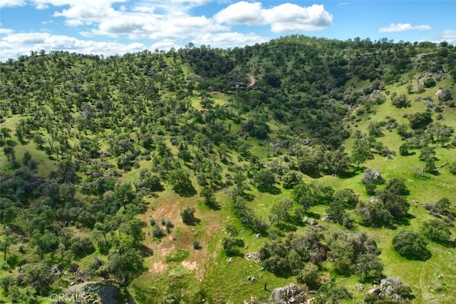 42625 Red Top Mountain Ct, Coarsegold, CA 93614 - aerial view of property's location featuring a forest