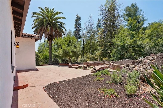 5337 La Roda Ave, Los Angeles, CA 90041 - photo 32