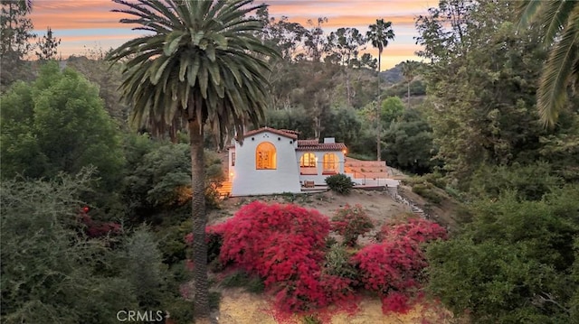 5337 La Roda Ave, Los Angeles, CA 90041 - photo 39
