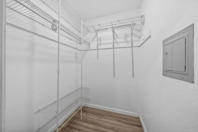2920 Briarwood Rd Unit G12, Bonita, CA 91902 - walk in closet featuring electric panel and wood finished floors