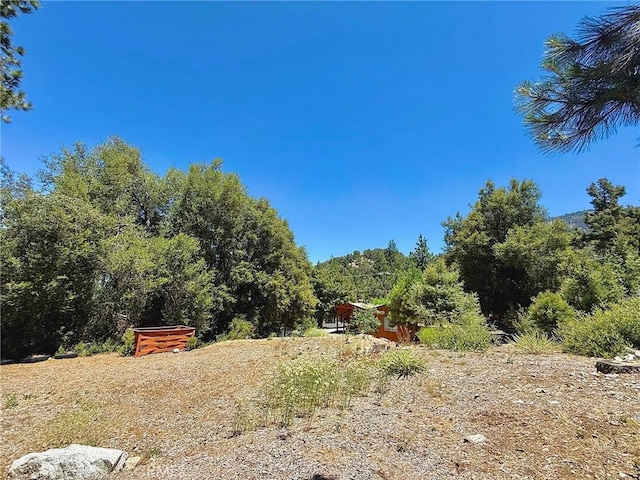 1812 Bernina Dr, Pine Mountain Club, CA 93222 - photo 10