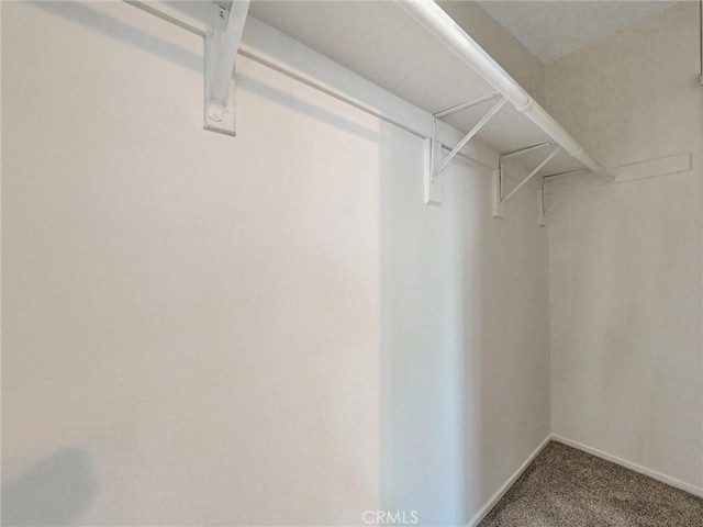 8990 19th St Unit 426, Rancho Cucamonga, CA 91701 - spacious closet with carpet flooring