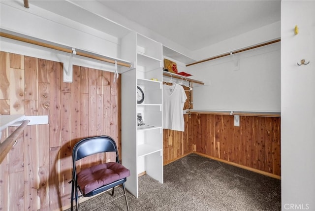 16635 Wintun Rd, Apple Valley, CA 92307 - spacious closet featuring carpet