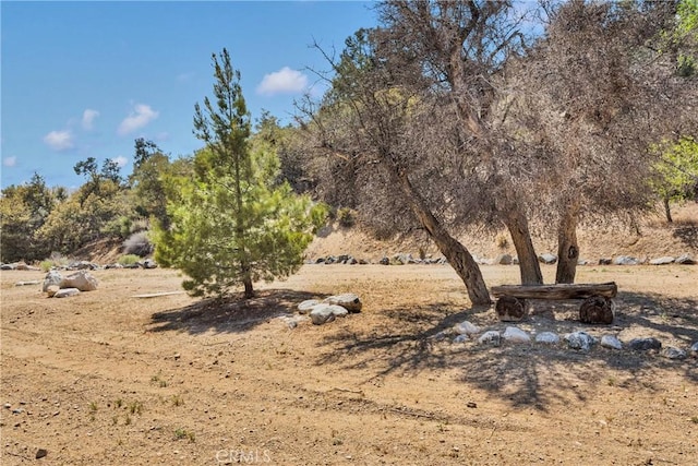 3537 Pinon Pines Rd, Wrightwood, CA 92397 - view of yard