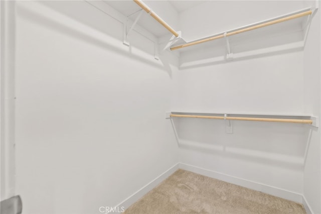 1914 W Bushell St, Anaheim, CA 92805 - walk in closet with light carpet