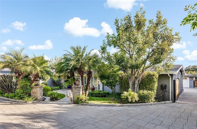 2212 Rim Rd, Duarte, CA 91008 - view of property hidden behind natural elements featuring driveway