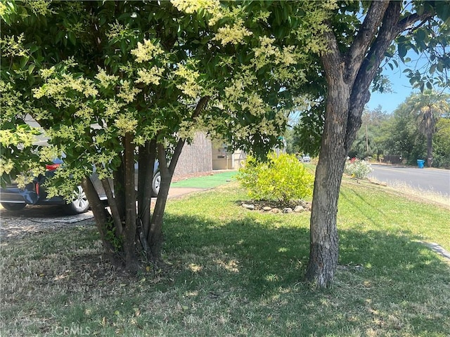 2088 Campbell Ave, Oroville, CA 95966 - photo 3