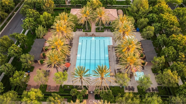 74 Gainsboro, Irvine, CA 92620 - bird's eye view of a pool area