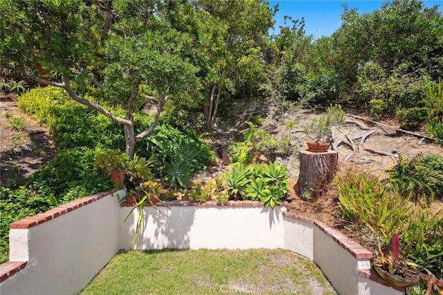 790 Wendt Ter, Laguna Beach, CA 92651 - view of yard