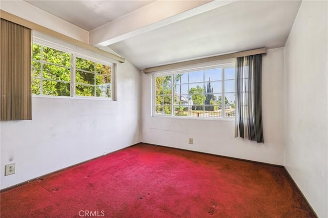 14857 Tuba St, San Fernando, CA 91345 - photo 26