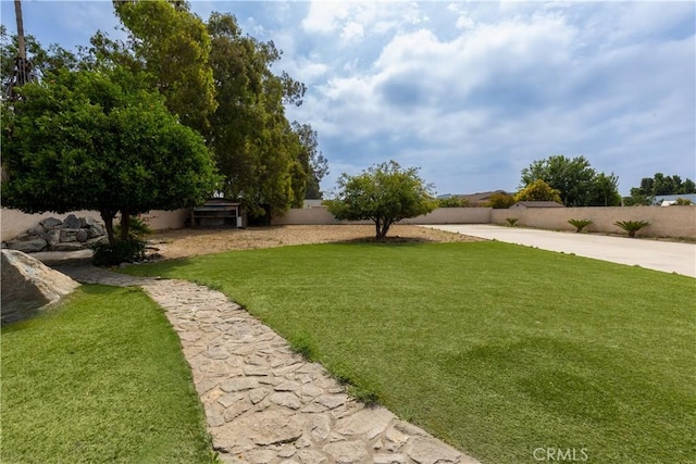 10709 Calabash Ave, Fontana, CA 92337 - view of yard