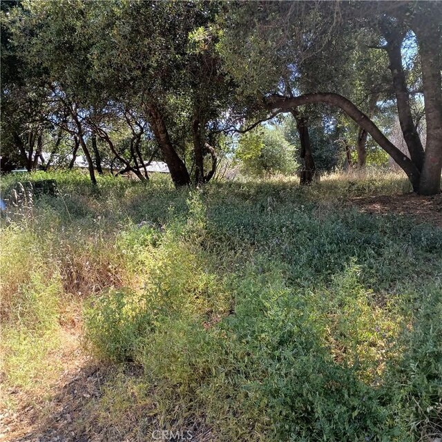 3519 Covelo St, Clearlake, CA 95422 - photo 6