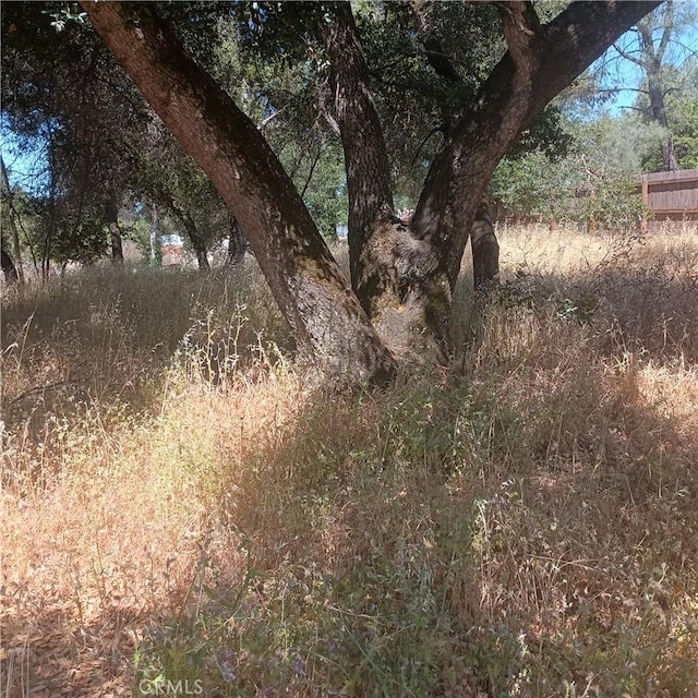 3519 Covelo St, Clearlake, CA 95422 - photo 5