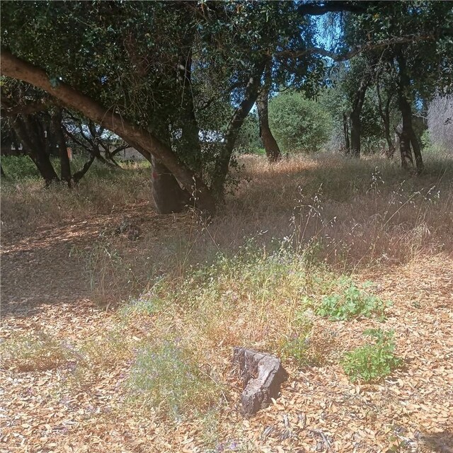 3519 Covelo St, Clearlake, CA 95422 - photo 4