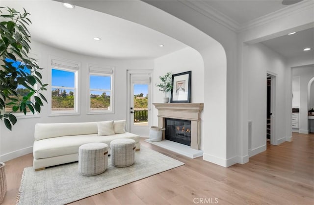 31 Harcourt, Newport Coast, CA 92657 - living area featuring healthy amount of natural light, baseboards, a glass covered fireplace, ornamental molding, and recessed lighting