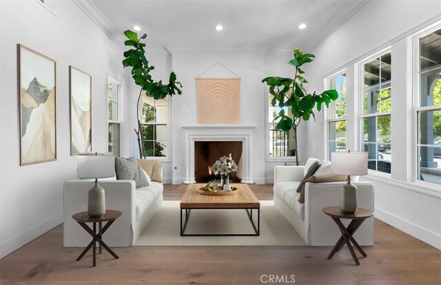 31 Harcourt, Newport Coast, CA 92657 - living area with ornamental molding, a fireplace, baseboards, recessed lighting, and wood finished floors