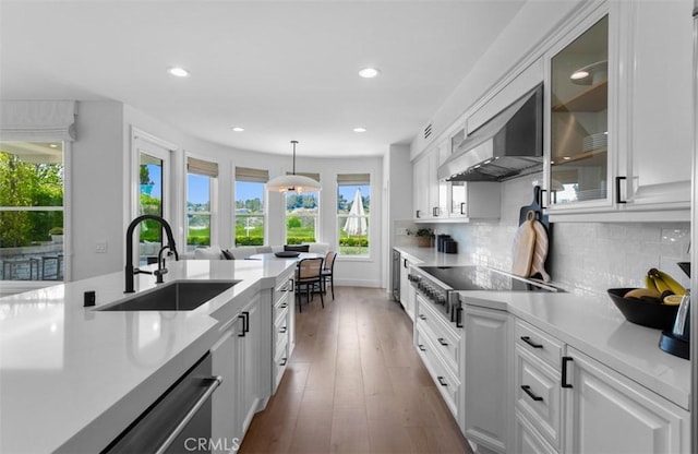 31 Harcourt, Newport Coast, CA 92657 - kitchen featuring a sink, appliances with stainless steel finishes, extractor fan, light countertops, and white cabinets