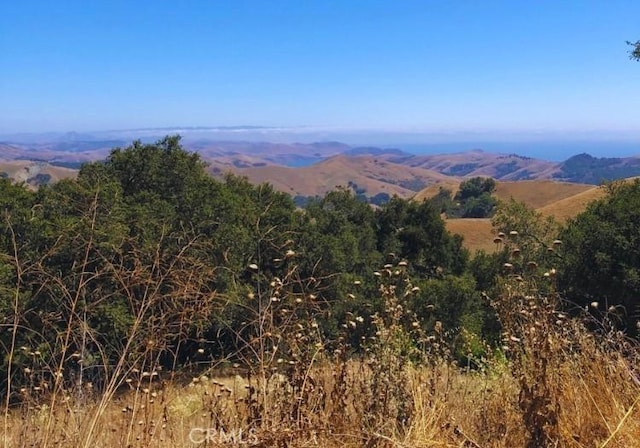 0 Old Creek Rd, Templeton, CA 93465 - photo 1