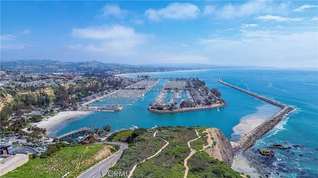 34021 La Serena Dr, Dana Point, CA 92629 - aerial view of a large body of water