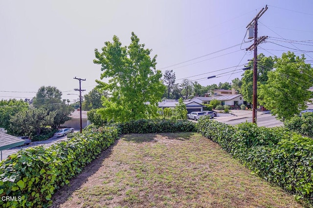 5020 Carolyn Way, Glendale, CA 91214 - view of yard
