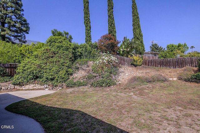 5020 Carolyn Way, Glendale, CA 91214 - view of yard