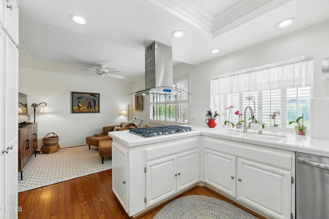 18751 Hatteras St Unit 13, Tarzana, CA 91356 - kitchen with appliances with stainless steel finishes, a sink, island range hood, tile counters, and a ceiling fan