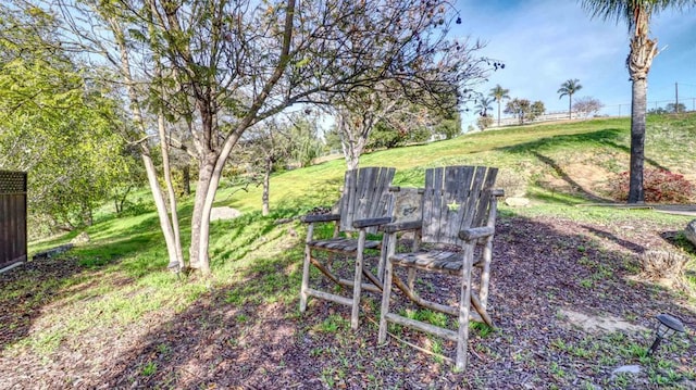 11606 Mesa Verde Dr, Valley Center, CA 92082 - view of yard