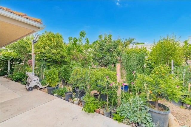 1855 Turnbull Canyon Rd, Hacienda Heights, CA 91745 - view of patio / terrace