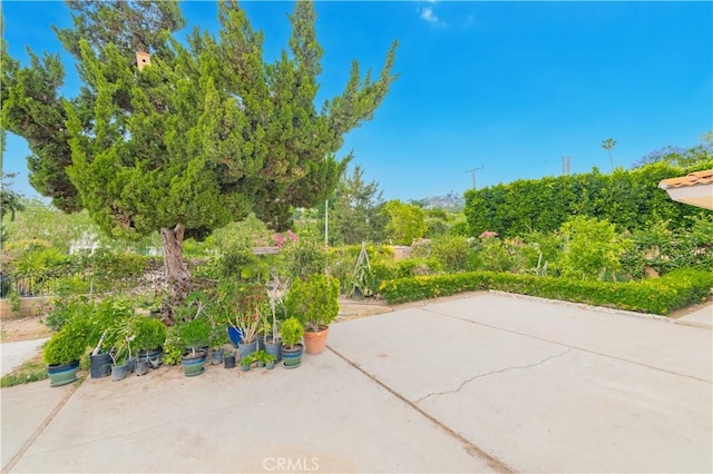 1855 Turnbull Canyon Rd, Hacienda Heights, CA 91745 - view of patio / terrace