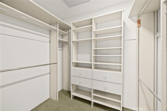 925 Calle Hermosa, San Dimas, CA 91773 - spacious closet with carpet floors