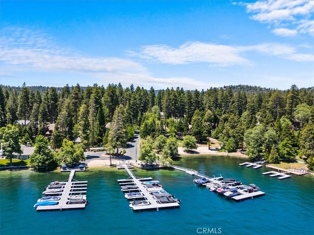 27833 Hamiltair Dr, Lake Arrowhead, CA 92352 - bird's eye view of a marina and a large body of water