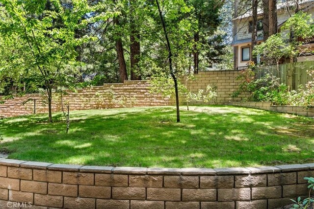 27833 Hamiltair Dr, Lake Arrowhead, CA 92352 - view of yard