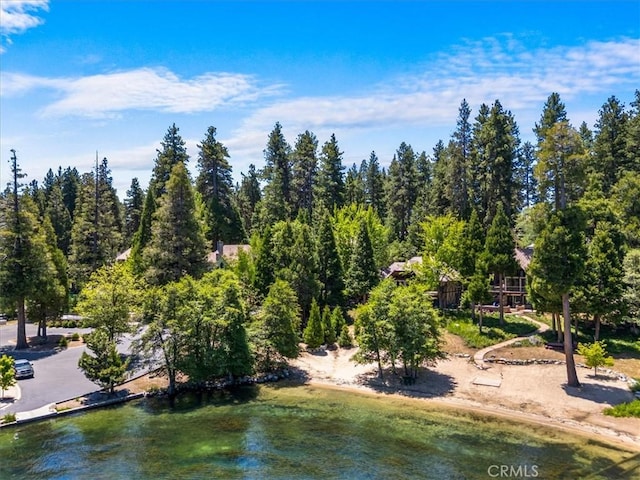 27833 Hamiltair Dr, Lake Arrowhead, CA 92352 - water view