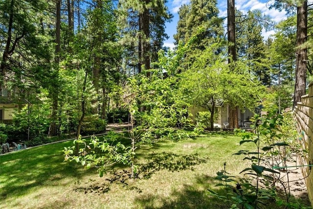27833 Hamiltair Dr, Lake Arrowhead, CA 92352 - view of grassy yard
