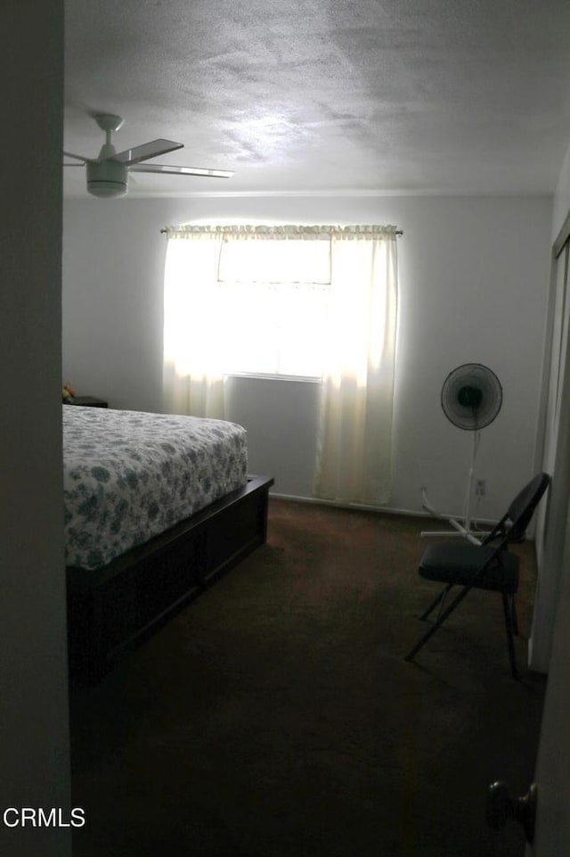 6232 Country View Ln, Riverside, CA 92504 - carpeted bedroom featuring multiple windows, a textured ceiling, and ceiling fan