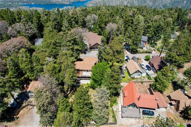 21645 Jobs Peak Rd, Cedarpines Park, CA 92322 - aerial view of a nearby body of water and a forest