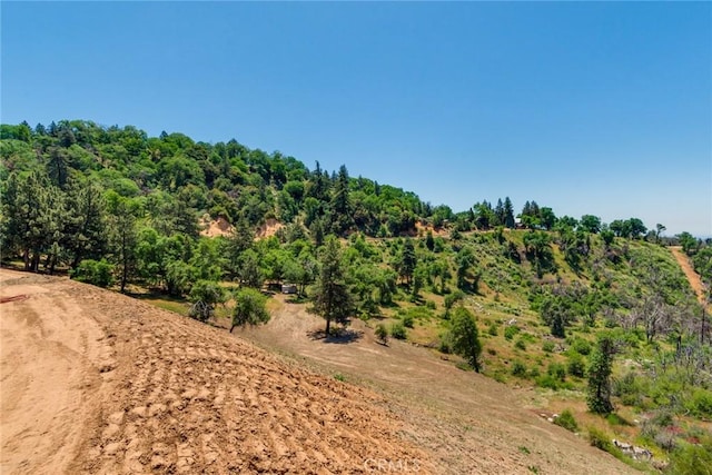 0 Pine Bench Rd, Yucaipa, CA 92399