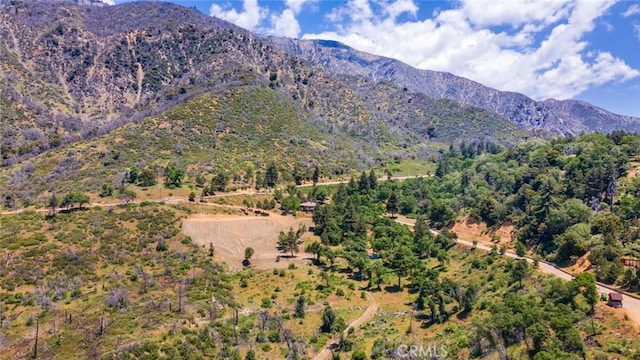 0 Pine Bench Rd, Yucaipa, CA 92399 - photo 13