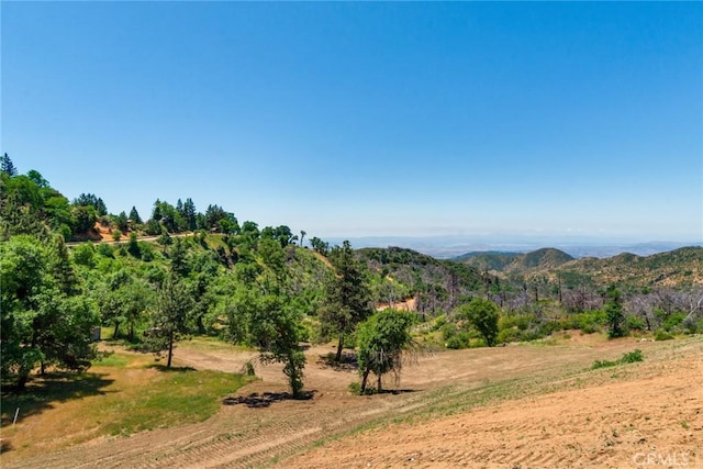 0 Pine Bench Rd, Yucaipa, CA 92399 - photo 24