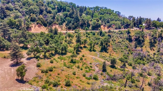 0 Pine Bench Rd, Yucaipa, CA 92399