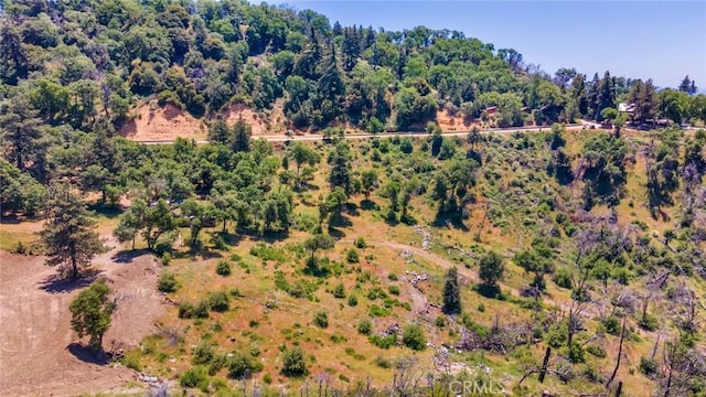 0 Pine Bench Rd, Yucaipa, CA 92399 - photo 7