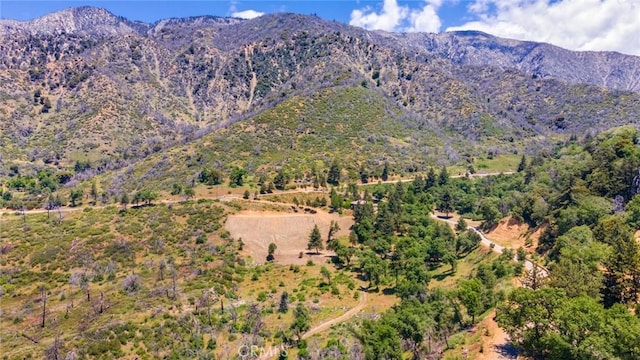 0 Pine Bench Rd, Yucaipa, CA 92399 - photo 9