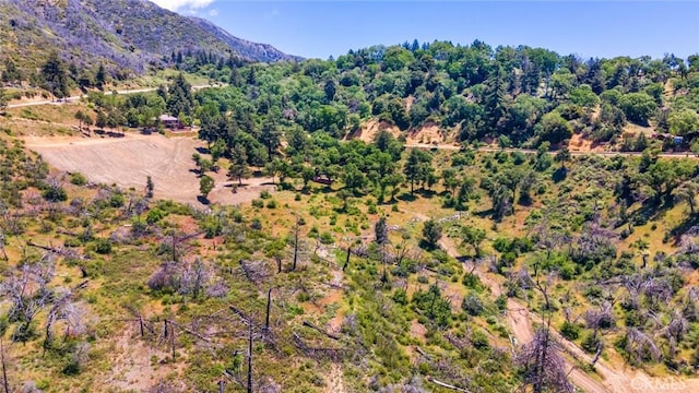 0 Pine Bench Rd, Yucaipa, CA 92399
