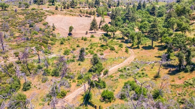 0 Pine Bench Rd, Yucaipa, CA 92399