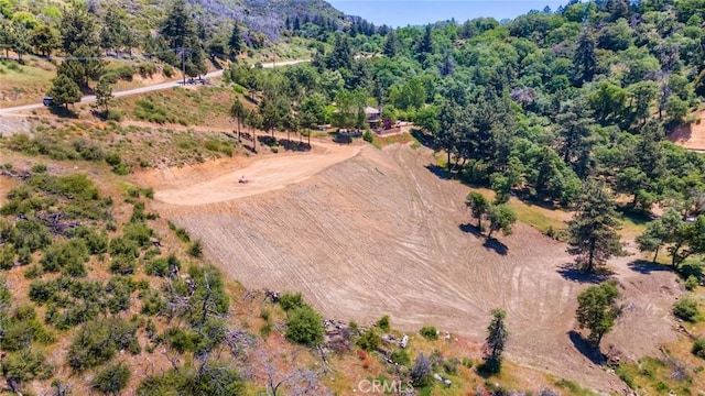 0 Pine Bench Rd, Yucaipa, CA 92399 - photo 4