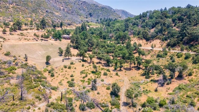 0 Pine Bench Rd, Yucaipa, CA 92399 - photo 11