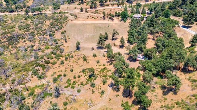 0 Pine Bench Rd, Yucaipa, CA 92399 - photo 10