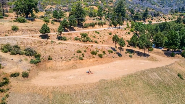 0 Pine Bench Rd, Yucaipa, CA 92399 - photo 3