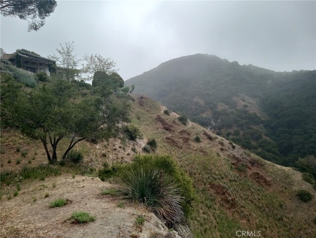 10157 Durkee Ave, Tujunga, CA 91042 - photo 11