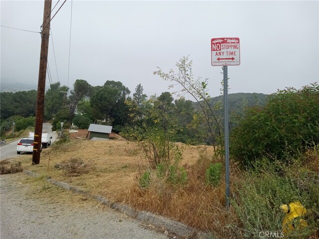 10157 Durkee Ave, Tujunga, CA 91042 - photo 4